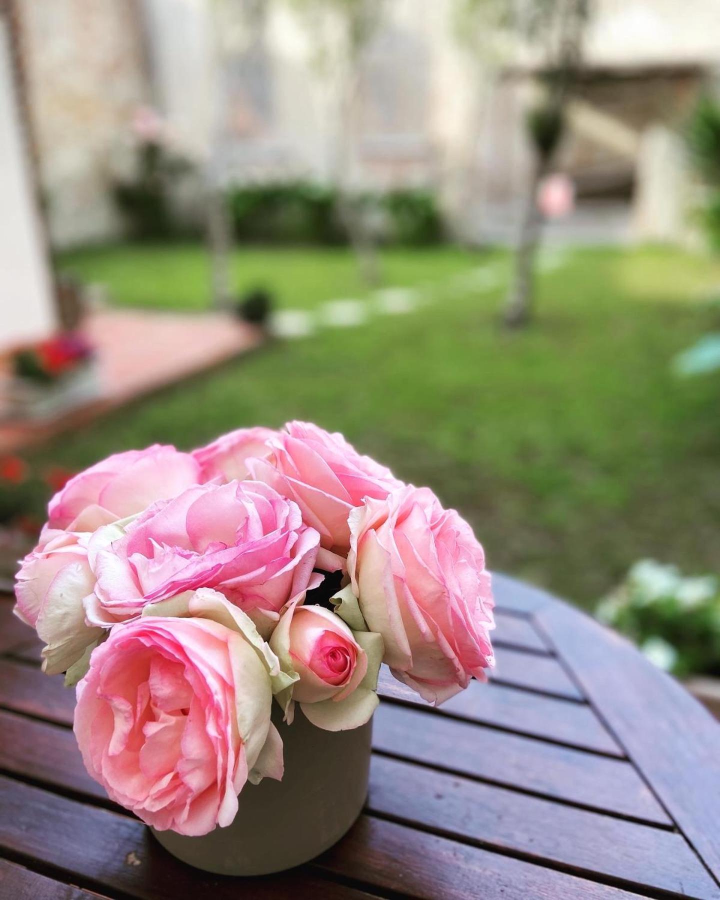 Victoria House B&B Pisa Kültér fotó